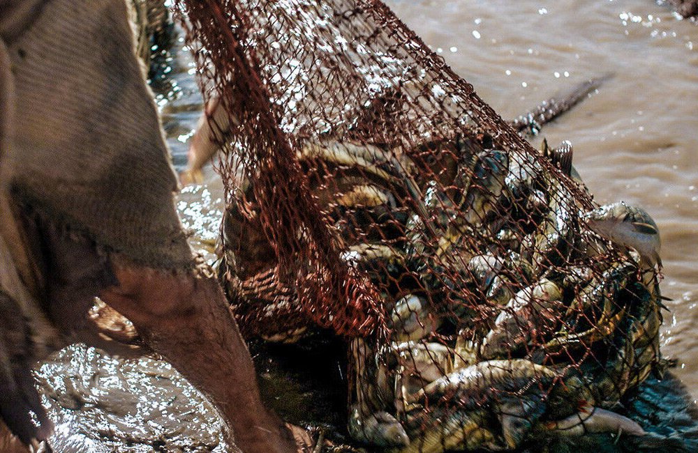 Milagres de Jesus na Bíblia - Grande pescaria